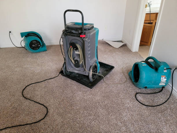 Best Water damage cleanup near me  in Avenue B And C, AZ