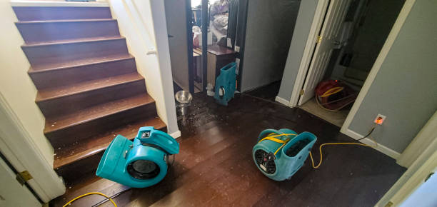 Best Mold removal after water damage  in Avenue B And C, AZ