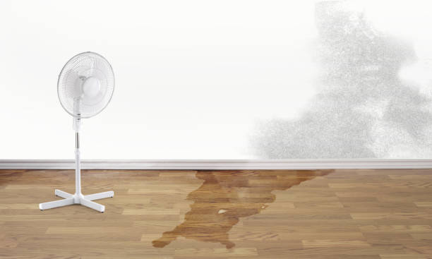 Best Sewage cleanup and water damage restoration  in Avenue B And C, AZ