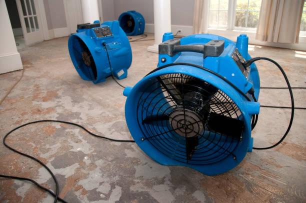 Best Flooded house restoration  in Avenue B And C, AZ