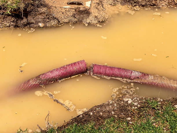  Avenue B And C, AZ Water damage restoration Pros